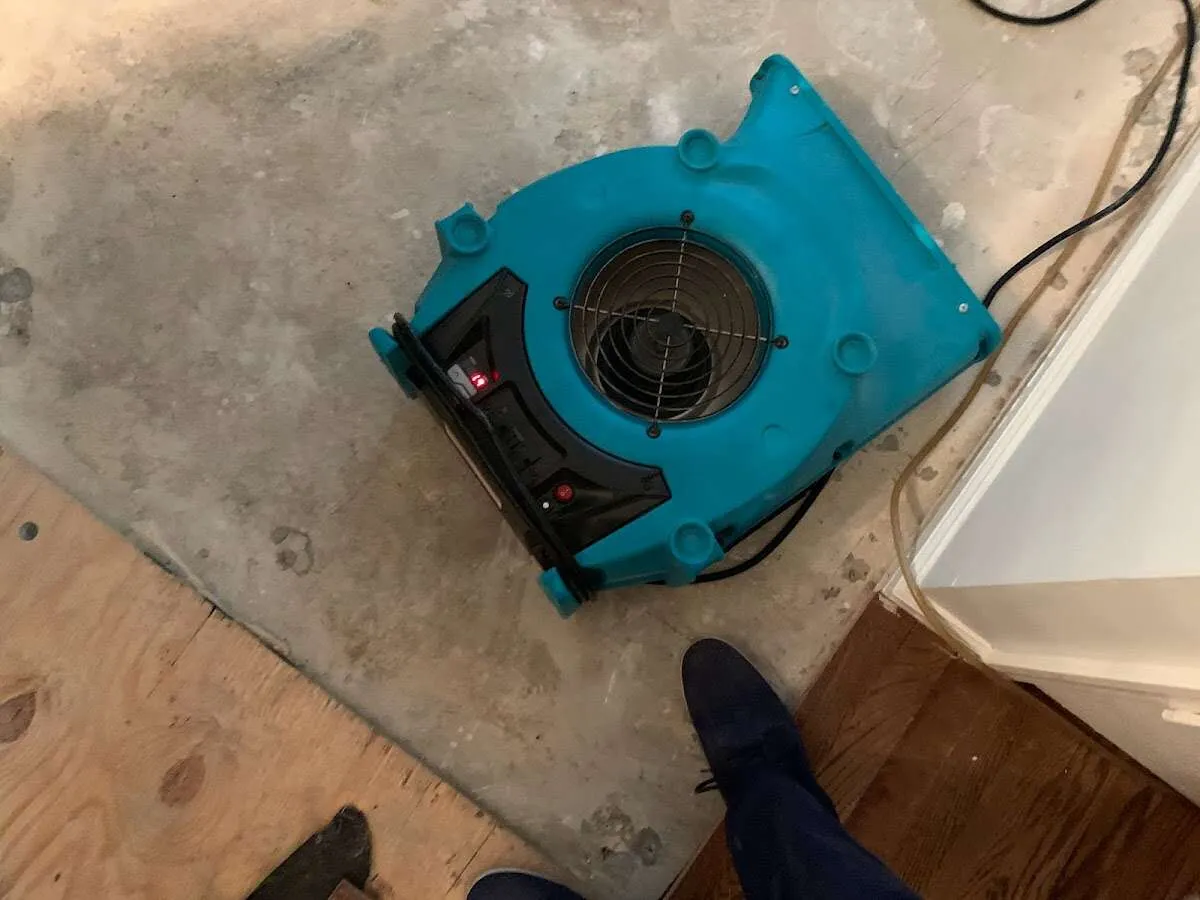 Air mover drying subfloor during Leak Detection & Repair in Crystal City